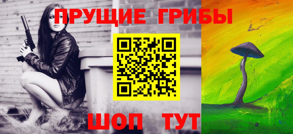 Лесозаводск  Псилоцибиновые грибы Cubensis  Вход с VPN 